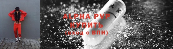 спиды Богданович