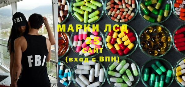 apvp Бородино