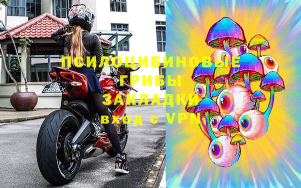 спиды Богданович