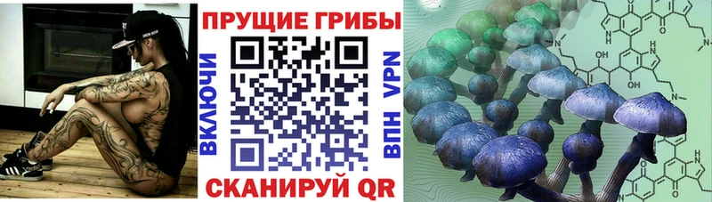 купить закладку  Грайворон  Галлюциногенные грибы MAGIC MUSHROOMS 