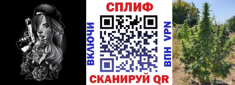 МАРИХУАНА планчик  KRAKEN зеркало  Грайворон 